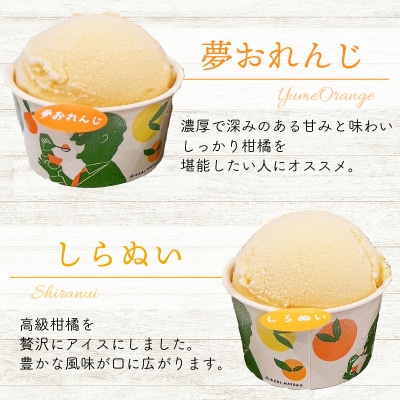 みかん職人が作った柑橘カップアイス4種 14個 (夢オレンジ・愛媛みかん・河内晩柑・しらぬい)