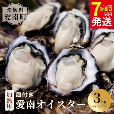 愛南 オイスター 3kg 牡蠣 加熱用 殻付き 愛南漁業協同組合 御荘支所