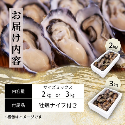 愛南 オイスター 3kg 牡蠣 加熱用 殻付き 愛南漁業協同組合 御荘支所