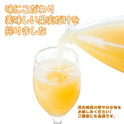 河内晩柑ストレートジュース 6本×1000ml 愛南ゴールド ジュース 清家ばんかんビレッジ
