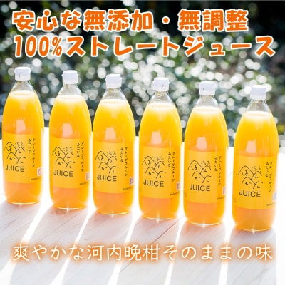 河内晩柑ストレートジュース 6本×1000ml 愛南ゴールド ジュース 清家ばんかんビレッジ