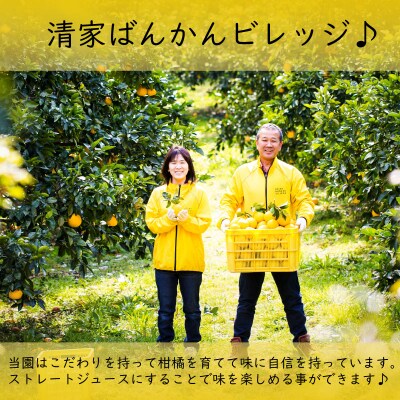 レモン 果汁 3本×1000ml 100% イエローレモン ジュース 清家ばんかんビレッジ