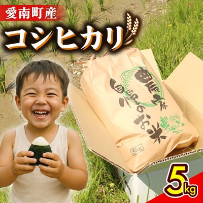 新米 令和8年産 コシヒカリ 5kg 米 お米 コメ 白米 精米 愛南町 和家農園