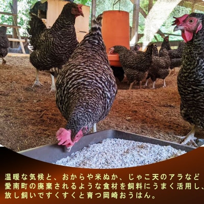 岡崎おうはん 親鳥のミンチ 1kg 親鳥 ミンチ 冷凍 純国産品 ブランド 希少 ローカルスタンダ