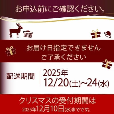 【先行受付】クリスマス チーズケーキ 5号 サイズ 10000円 数量限定 ( チーズスフレ )  