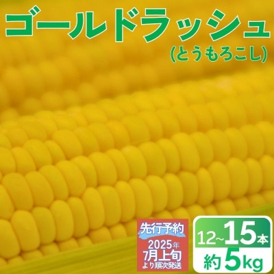 とうもろこし 甘い スイートコーン ゴールドラッシュ 約 5kg 12000円
