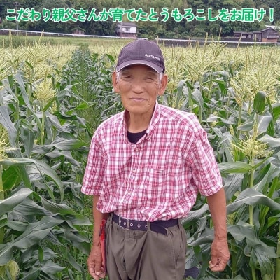 とうもろこし 甘い スイートコーン ゴールドラッシュ 約 5kg 12000円
