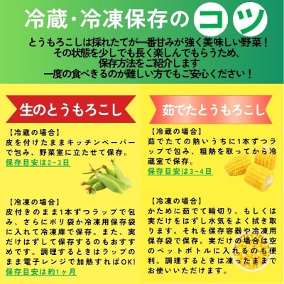 とうもろこし 甘い スイートコーン ゴールドラッシュ 約 5kg 12000円