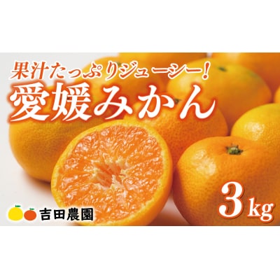 先行予約 愛媛みかん 3kg 吉田農園 愛南町 愛媛県