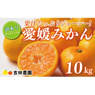先行受付 訳あり 愛媛みかん 10kg 愛媛 みかん 温州みかん ミカン 吉田農園 愛南町 愛媛県