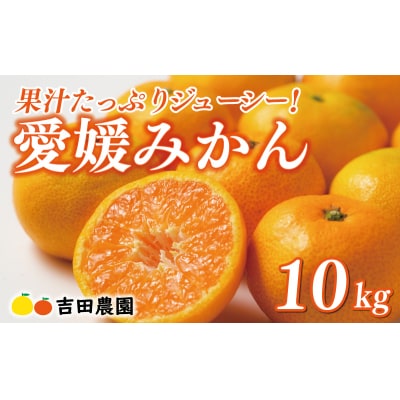 先行受付 愛媛みかん 10kg 愛媛 みかん 温州みかん 蜜柑 ミカン 柑橘 吉田農園 愛南町