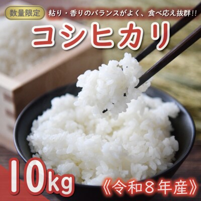 先行予約 新米 令和8年産 コシヒカリ 10kg お米 白米 精米 田中均 愛南町 愛媛県