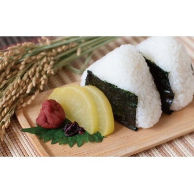 先行予約 新米 令和8年産 コシヒカリ 10kg お米 白米 精米 田中均 愛南町 愛媛県