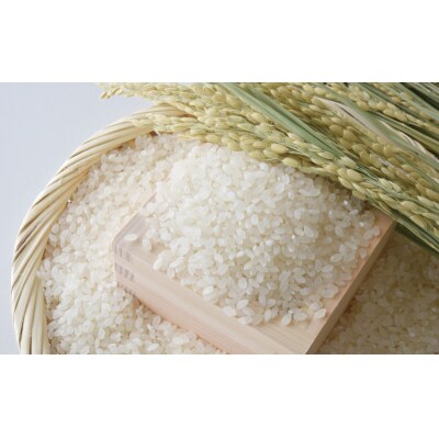 先行予約 新米 令和8年産 コシヒカリ 10kg お米 白米 精米 田中均 愛南町 愛媛県