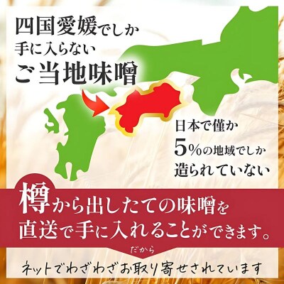麦 みそ 750g × 4 パック 甘口 無添加 生 仕込み 味噌 減塩 食物繊維 麹 マルマサ醤油