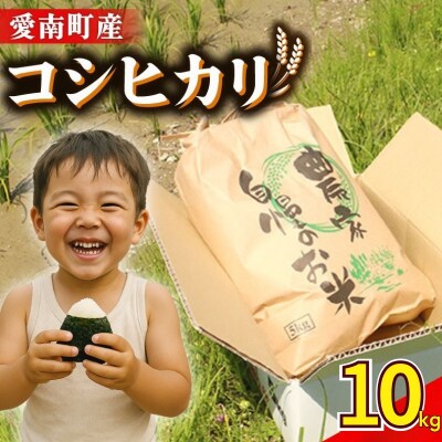 新米 令和8年産 コシヒカリ 10kg 米 お米 白米 精米 愛南町 和家農園