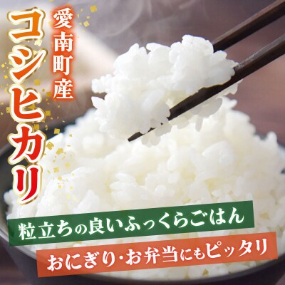 新米 令和8年産 コシヒカリ 10kg 米 お米 白米 精米 愛南町 和家農園