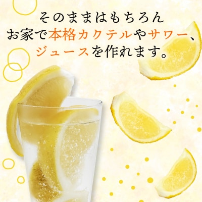 冷凍皮付き河内晩柑 500g×4袋 小分け 愛南ゴールド 和製グレープフルーツ みかん職人武田屋