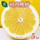 訳あり 河内晩柑 5kg サイズミックス マルハラファーム 愛南町 愛媛県