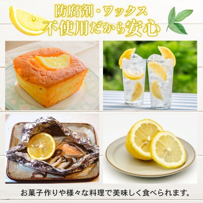 【先行予約】訳ありレモン 3kg ワックス 防腐剤不使用 サイズ カラーミックス 愛南町 青果市場 