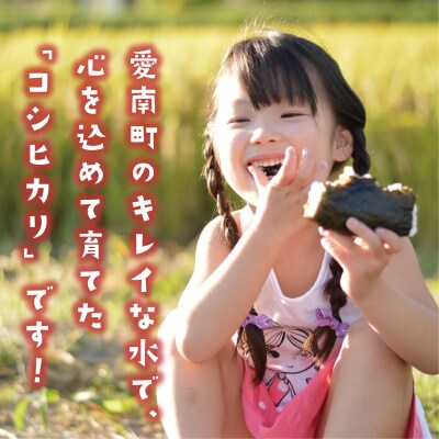 【先行予約】新米 令和8年産 コシヒカリ 5kg お米 白米 えひめ南農業協同組合 愛南町 愛媛県