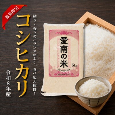 【先行予約】令和8年産 コシヒカリ 10kg お米 白米 新米 えひめ南農業協同組合 愛南町 愛媛県