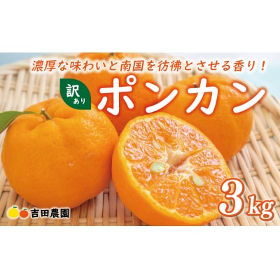 数量限定 先行受付 お試し用 訳あり ポンカン 3kg 吉田農園 愛南町 愛媛県