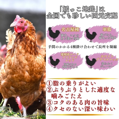 クリスマス 先行受付 媛っこ 地鶏 骨付きもも肉 ( 2本 )  愛媛 愛南 ローカルスタンダード