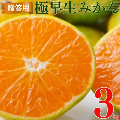 贈答用 極早生 みかん 3kg S ・ M ・ L いずれかを揃えてお届け 清家ばんかんビレッジ
