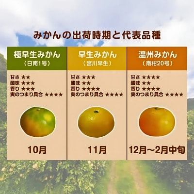 贈答用 極早生 みかん 5kg S ・ M ・ L いずれかを揃えてお届け 清家ばんかんビレッジ