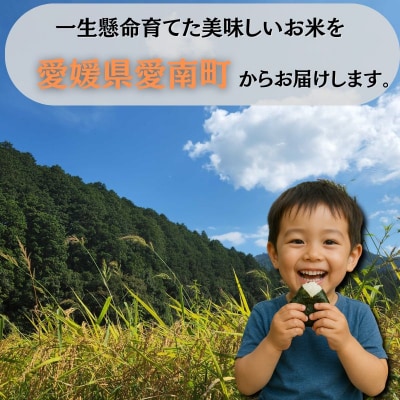 令和8年産 新米 にじのきらめき 5kg 米 お米 白米 愛南町青果市場組合