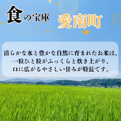 令和8年産 新米 にじのきらめき 10kg 米 お米 白米 愛南町青果市場組合