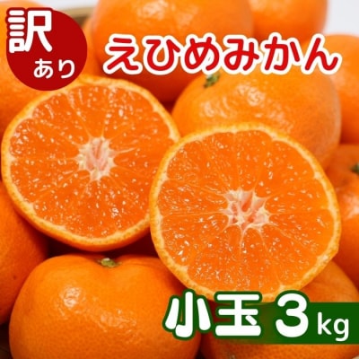 先行受付 訳あり 愛媛みかん 小玉 3kg 愛媛県 愛南町 清家ばんかんビレッジ 