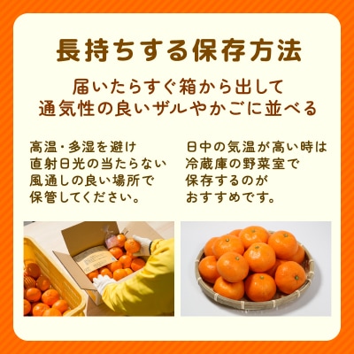 先行受付 訳あり 愛媛みかん 小玉 3kg 愛媛県 愛南町 清家ばんかんビレッジ 