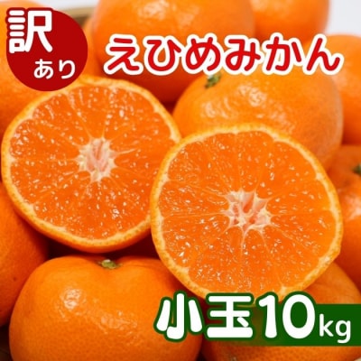 先行受付 訳あり 愛媛みかん 小玉 10kg 愛媛県 愛南町 清家ばんかんビレッジ