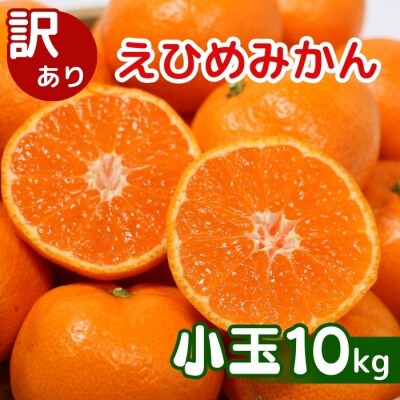 【先行予約】訳あり 愛媛みかん 小玉 10kg 愛媛県 愛南町 清家ばんかんビレッジ