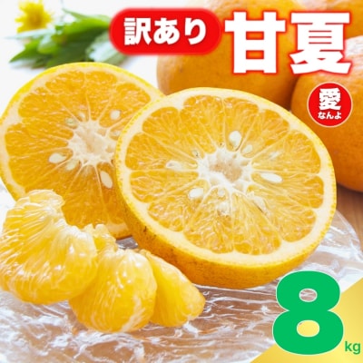 先行受付 訳あり 甘夏 8kg サイズ ミックス 家庭用 愛媛県 愛南町 愛なんよ