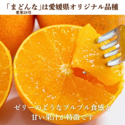 先行受付 訳あり まどんな 3kg マドンナ みかん 愛果28号 愛媛県 愛南町 愛なんよ