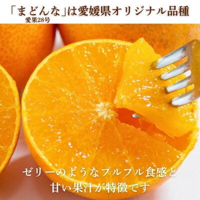 先行受付 訳あり まどんな 3kg マドンナ みかん 愛果28号 愛媛県 愛南町 愛なんよ