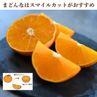 先行受付 訳あり まどんな 3kg マドンナ みかん 愛果28号 愛媛県 愛南町 愛なんよ