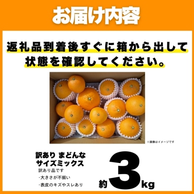訳あり まどんな 3kg マドンナ みかん 愛果28号 愛媛県 愛南町 愛なんよ