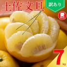 先行受付 訳あり 土佐 文旦 7㎏ サイズ ミックス 家庭用 愛媛県 愛南町 愛なんよ