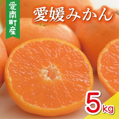 数量限定 先行受付 愛媛みかん 5kg 岡平農園 愛南町 愛媛県