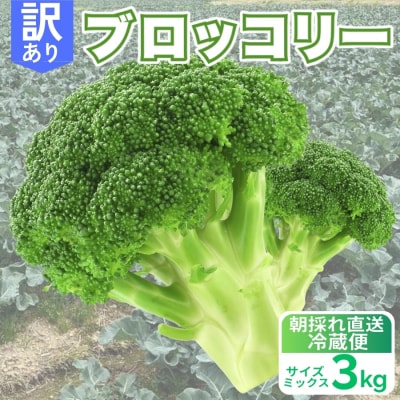 先行受付 訳あり ブロッコリー 3kg サイズミックス 朝採れ 当日 発送 愛媛県 愛南町 愛なんよ