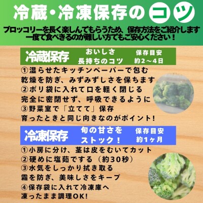 先行予約 ブロッコリー 約2kg 産地直送 農家直送 朝採れ 当日 発送 愛媛県 愛南町 愛なんよ