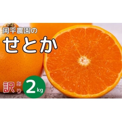数量限定 先行受付 訳あり せとか 2kg 岡平農園 愛南町 愛媛県