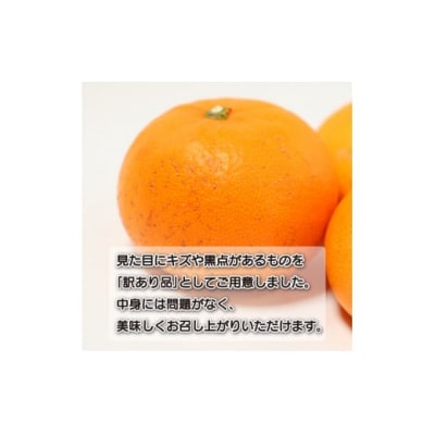 数量限定 先行受付 訳あり せとか 2kg 岡平農園 愛南町 愛媛県