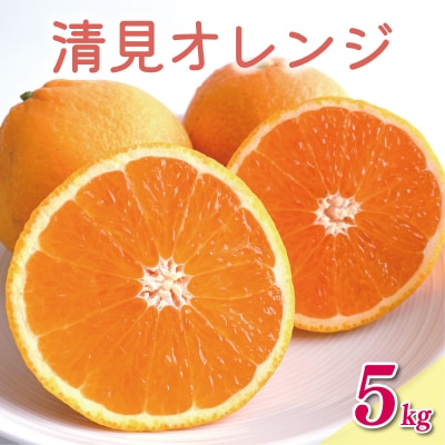 数量限定 先行受付 清見 オレンジ 5kg 岡平農園 愛南町 愛媛県
