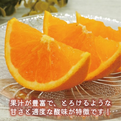 数量限定 先行受付 清見 オレンジ 5kg 岡平農園 愛南町 愛媛県