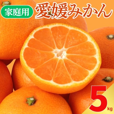 先行受付 訳あり 愛媛みかん 5kg サイズミックス ご家庭用 愛媛県 愛南町 愛なんよ